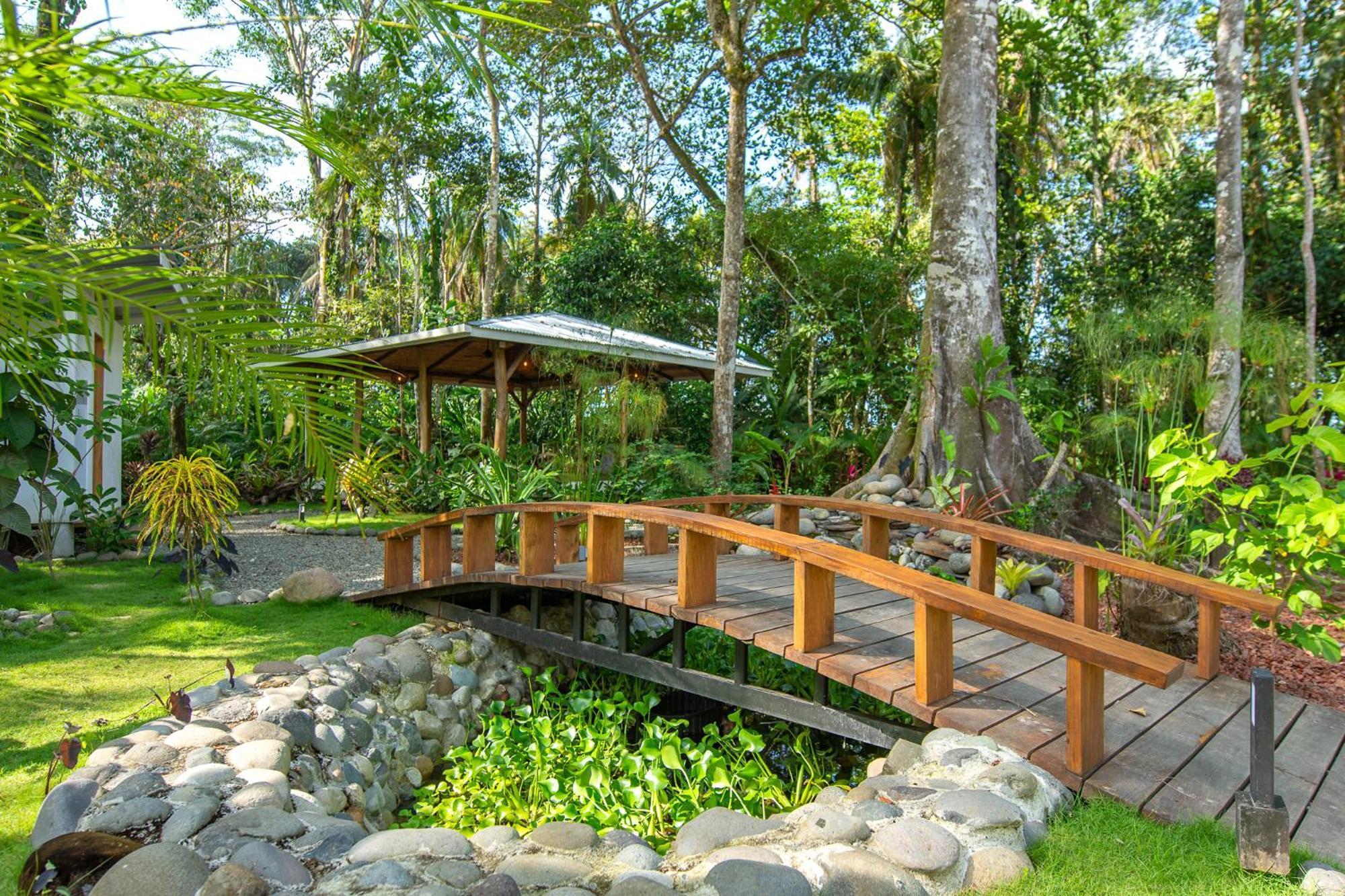 Dragonfly Beachfront Villas-Adult Only Punta Uva Luaran gambar