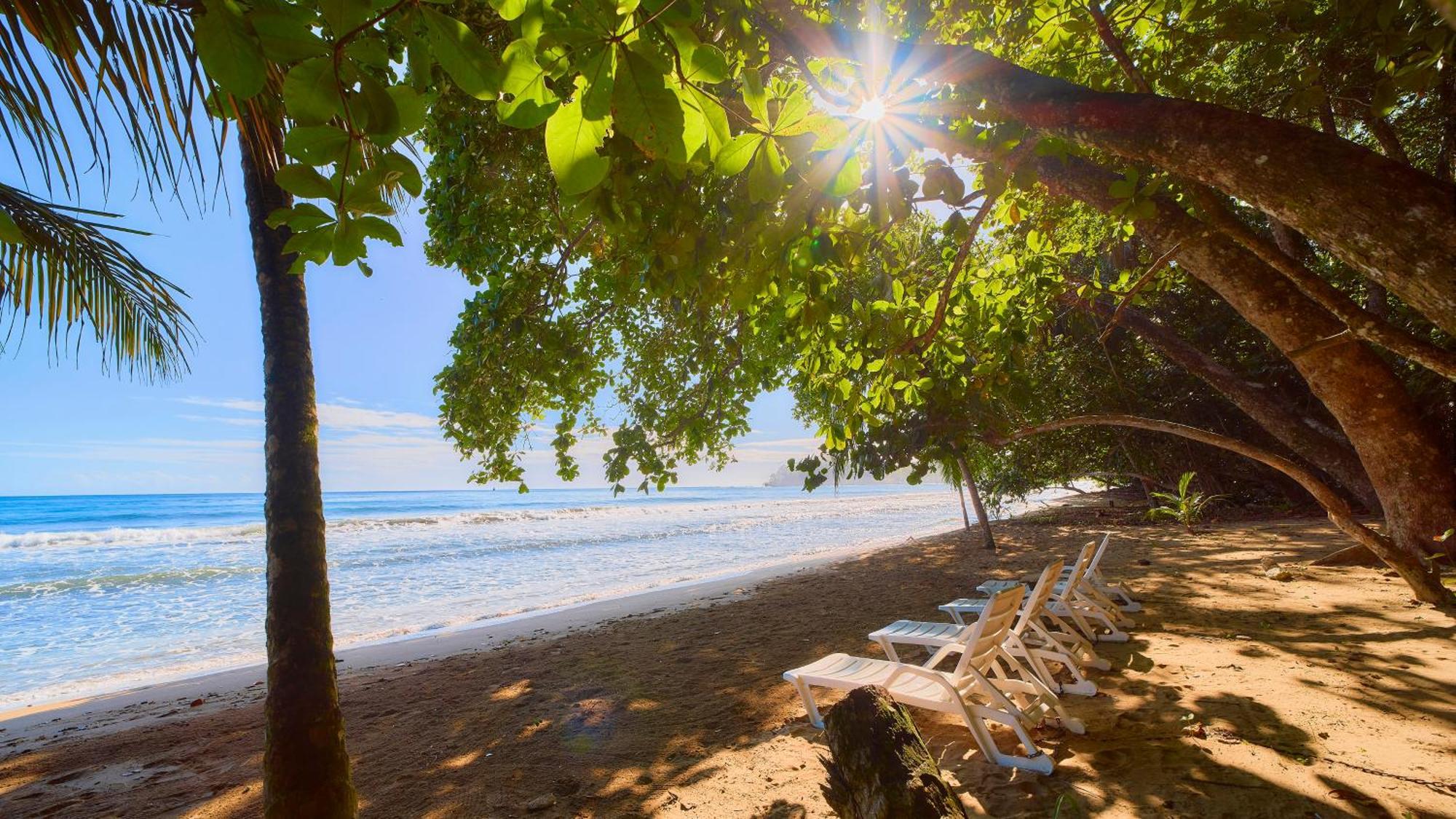 Dragonfly Beachfront Villas-Adult Only Punta Uva Luaran gambar