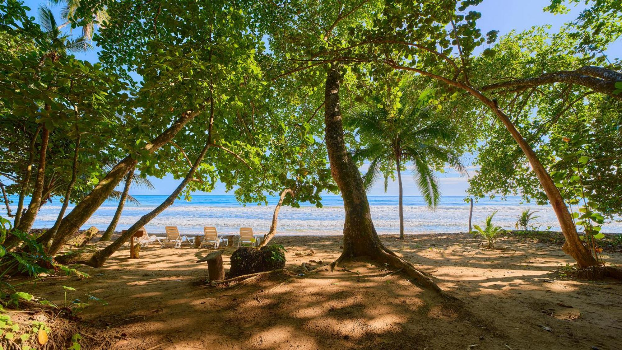 Dragonfly Beachfront Villas-Adult Only Punta Uva Luaran gambar