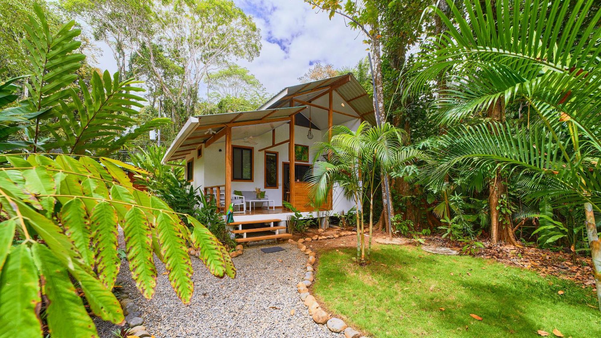 Dragonfly Beachfront Villas-Adult Only Punta Uva Luaran gambar