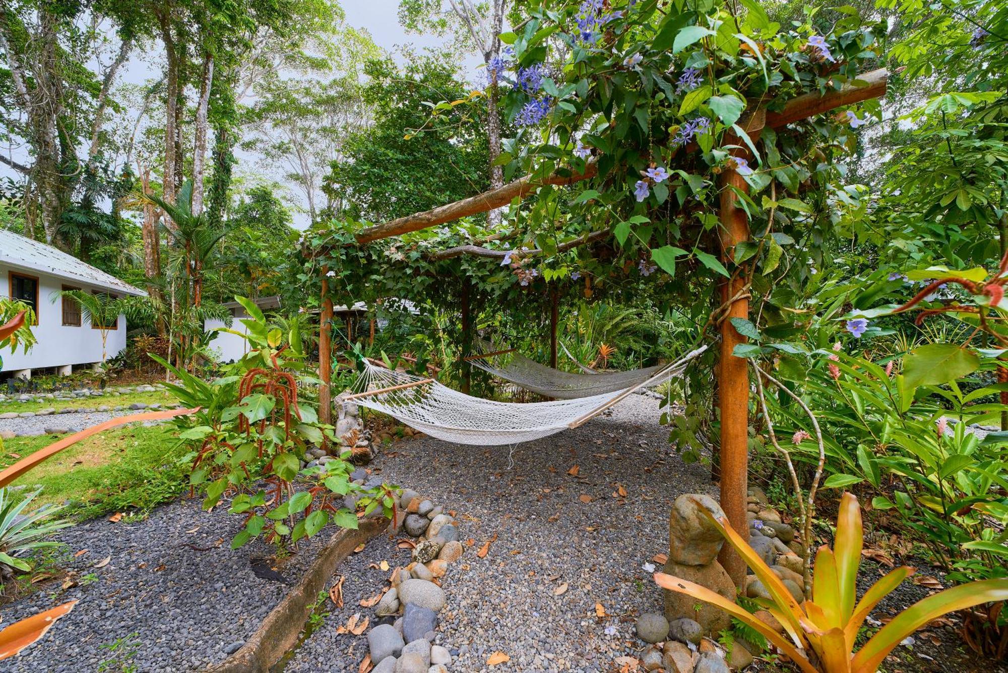 Dragonfly Beachfront Villas-Adult Only Punta Uva Luaran gambar