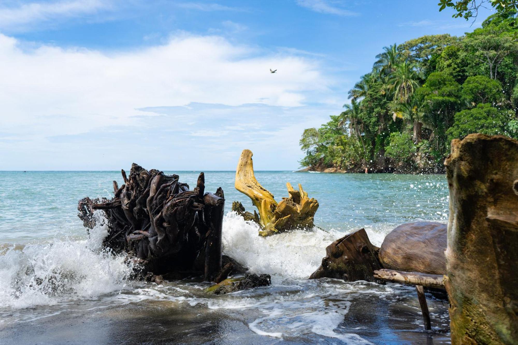 Dragonfly Beachfront Villas-Adult Only Punta Uva Luaran gambar