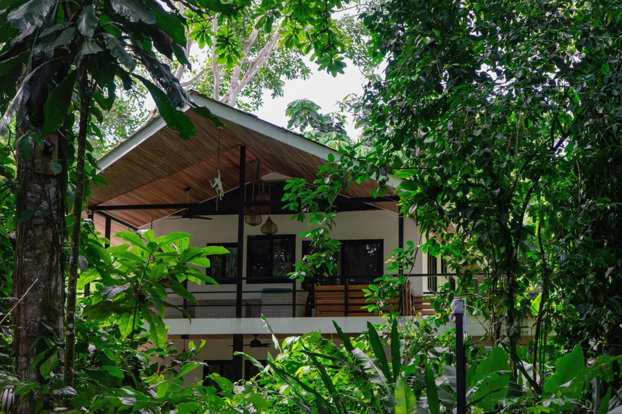 Dragonfly Beachfront Villas-Adult Only Punta Uva Luaran gambar